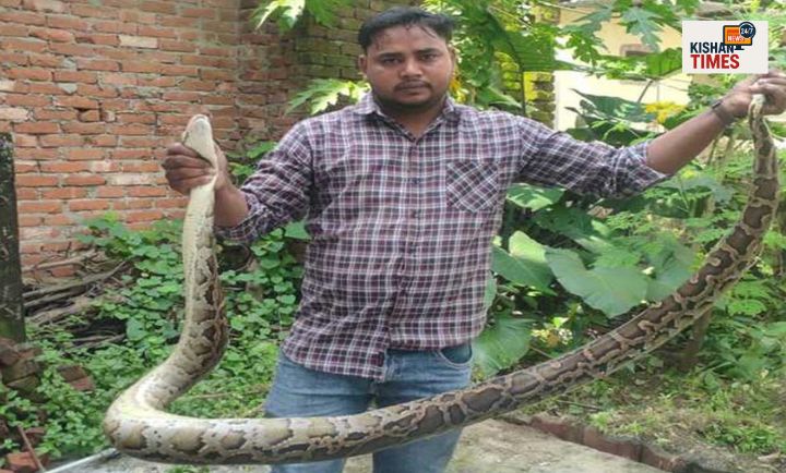 वन विभाग की टीम आठ फीट लंबे अजगर को सुरक्षित पकड़ते हुए।