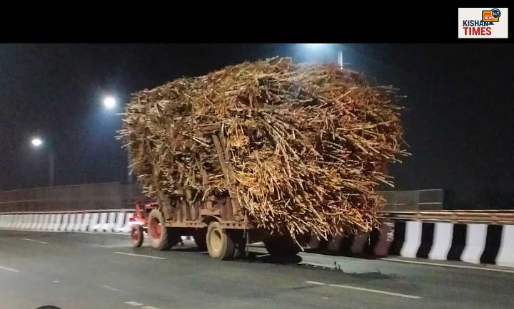 लक्सर में शुगर मिल के बाहर ओवरलोड गन्ना लादे ट्रैक्टर-ट्रॉलियां।