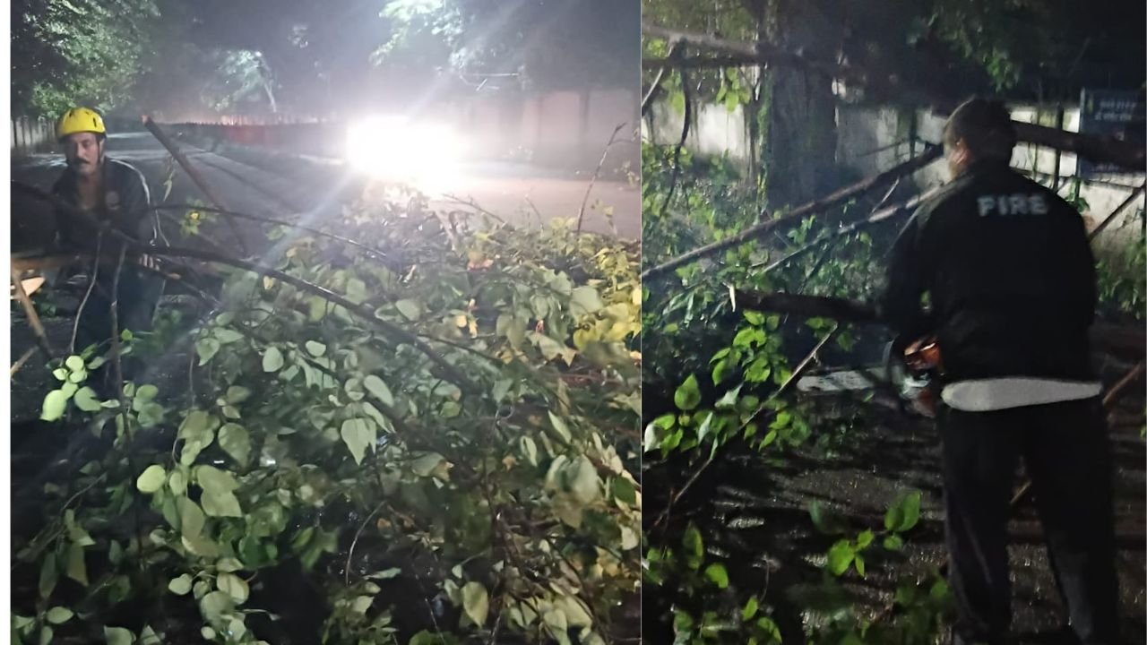 रुड़की के गोल चक्कर के पास सड़क पर गिरे पेड़ को हटाती फायर सर्विस टीम